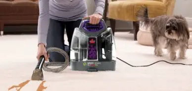 Best Carpet Cleaners For Pets