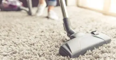 Best Vacuum for Shag Carpets