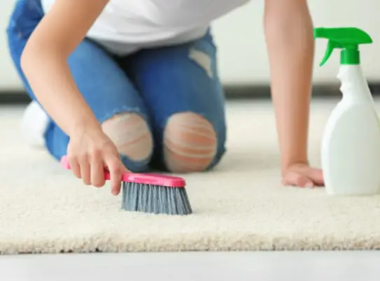How to Clean a Carpet Without a Vacuum