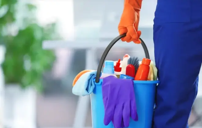 a person holding a bucket with cleaning products