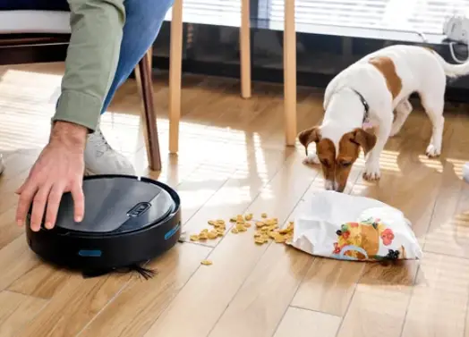 the dog and the robotic vacuum cleaner