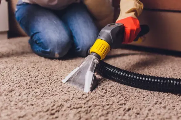 a person cleaning the carpet