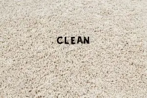 Clean on a carpet