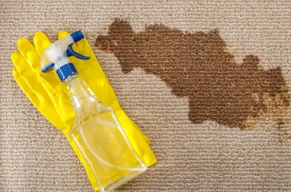 a stain on the carpet, solution and yellow rubber gloves