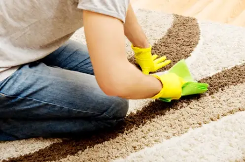 a person cleaning the carpet