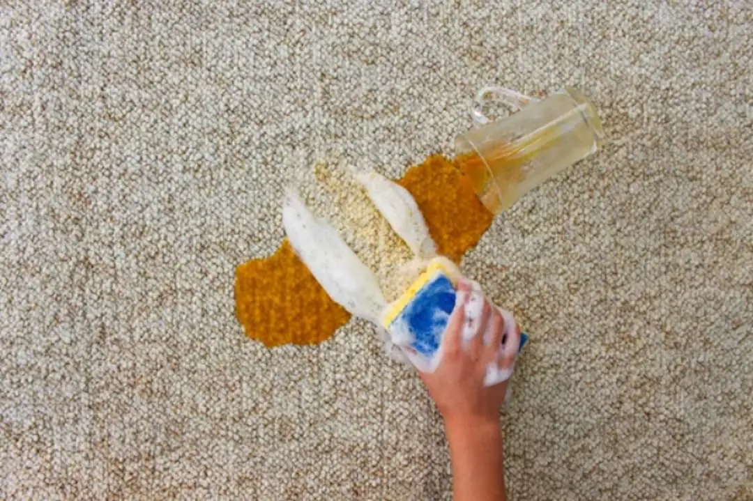a person cleaning spilled juice from the carpet