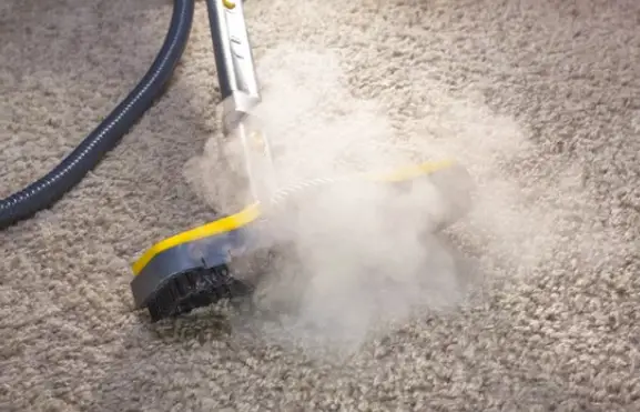 Steam cleaner on the carpet