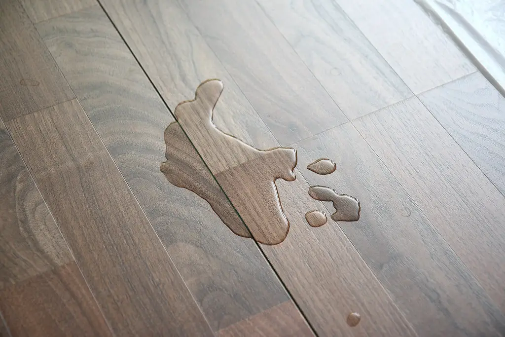 closeup of spilled water on laminate floor